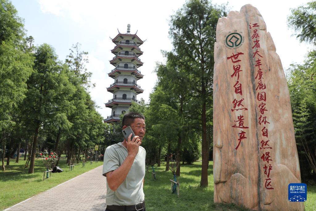 大宝lgpt游戏下载
